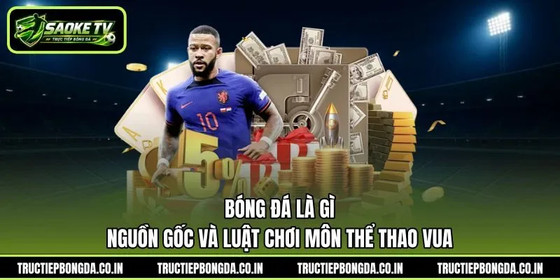 Bóng Đá Là Gì - Nguồn Gốc Và Luật Chơi Môn Thể Thao Vua | Hình số 8 Bóng Đá Là Gì – Nguồn Gốc Và Luật Chơi Môn Thể Thao Vua