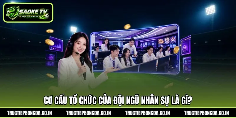 Cơ cấu tổ chức của đội ngũ nhân sự là gì? Cơ cấu tổ chức của đội ngũ nhân sự là gì?