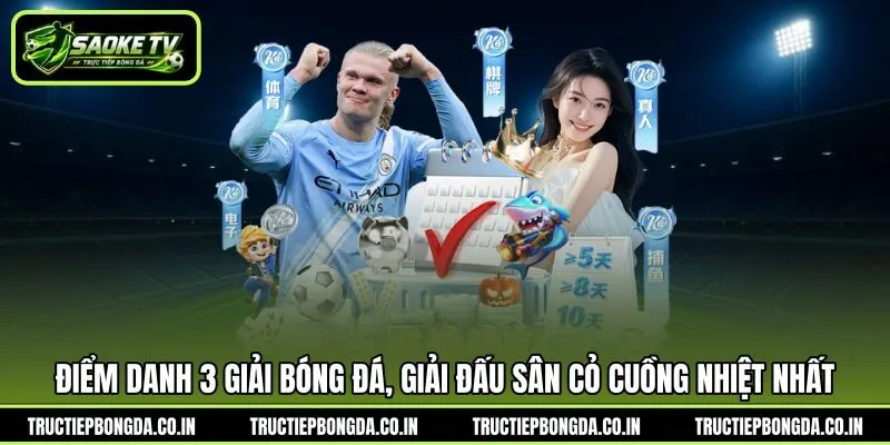 Điểm danh 3 giải bóng đá, giải đấu sân cỏ cuồng nhiệt nhất Điểm danh 3 giải bóng đá, giải đấu sân cỏ cuồng nhiệt nhất