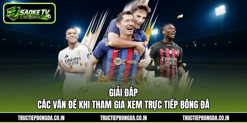Giải đáp các vấn đề khi tham gia xem trực tiếp bóng đá