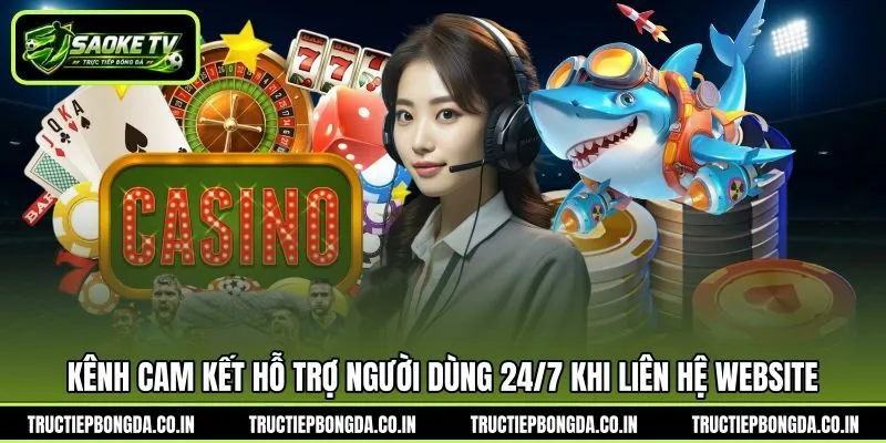 Kênh cam kết hỗ trợ người dùng 24/7 khi liên hệ website