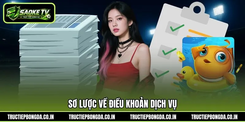 Sơ lược về điều khoản dịch vụ