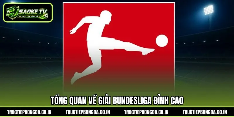 Tổng quan về giải Bundesliga đỉnh cao
